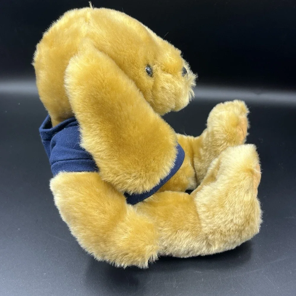 Collegiate Licensed Michigan Go Blue‎ Chelsea Teddy Bear Co Knuckles Dog NWT